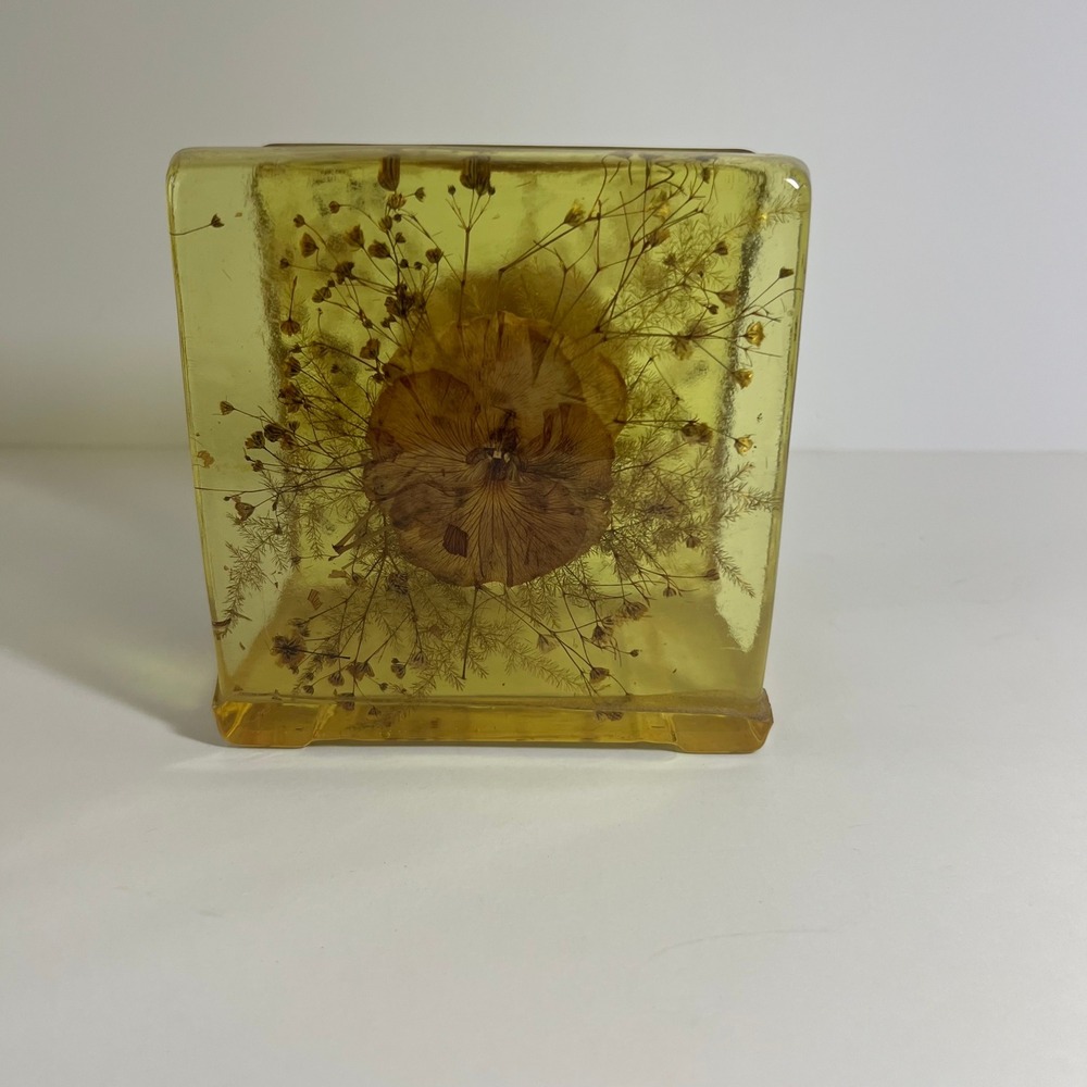 Vintage‎ Amber Resin Napkin Holder Pressed Dried Flowers Lucite 70s 3 x 5"